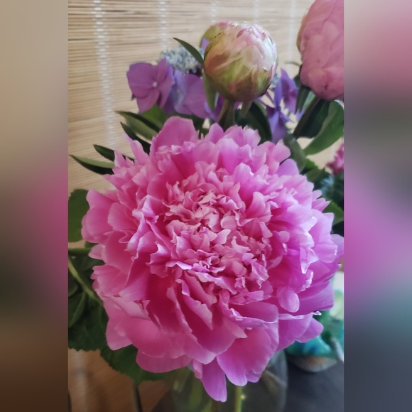 Meet your Posher, Meagan - Picture 3 of 3